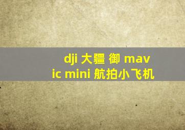 dji 大疆 御 mavic mini 航拍小飞机